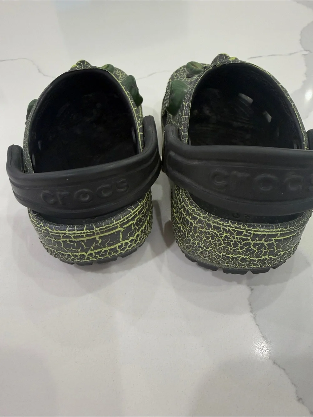 Crocs alligator